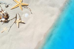 海滩 假期 夏季 海星 大海风景高清图片