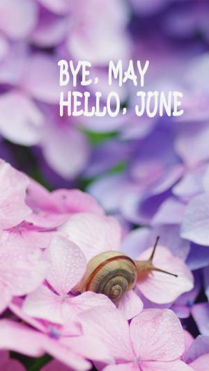 五月再见六月你好唯美梦幻小清新蜗牛花朵图片