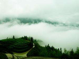 雾气缭绕宛如仙境的自然景观图集