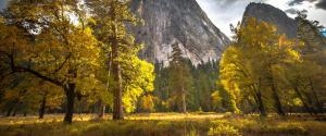 优胜美地国家公园秋天树林风景壁纸