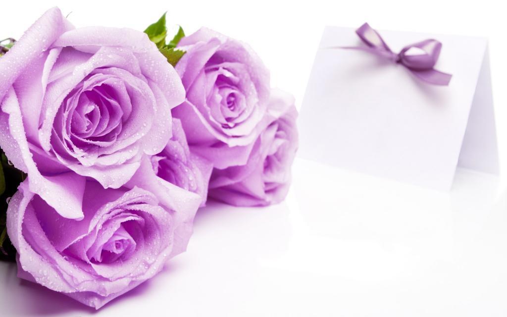 三八妇女节送花的花语