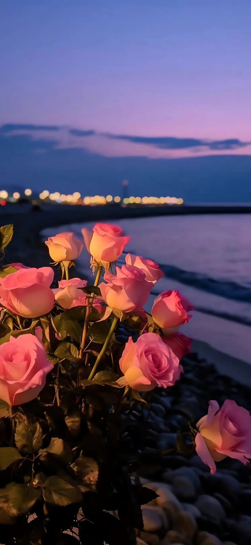 浪漫玫瑰花风景手机壁纸