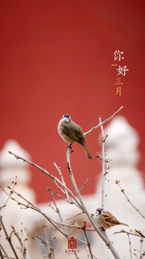 三月你好故宫博物院鸟语花香手机壁纸
