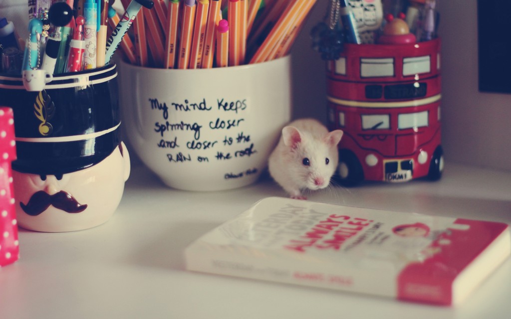 可爱小老鼠萌宠壁纸图片