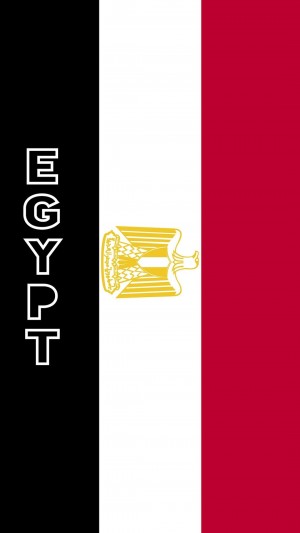 2020东京奥运会埃及国旗