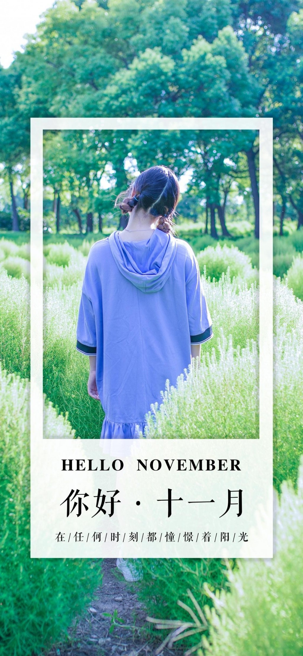 十一月你好之花田里女孩唯美背影
