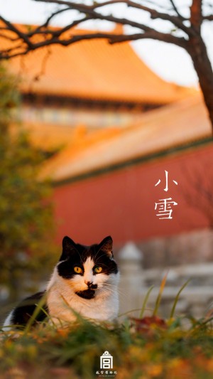 小雪节气故宫博物院可爱猫咪手机壁纸
