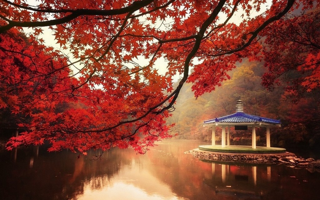 秋天枫叶黄了的梦幻意境图片