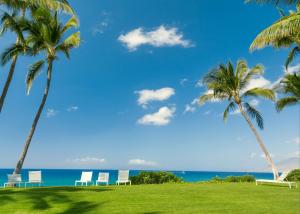 海边棕榈树下的太阳椅风景壁纸