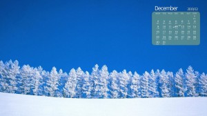 2019年12月清新唯美冬季自然风光日历图片壁纸