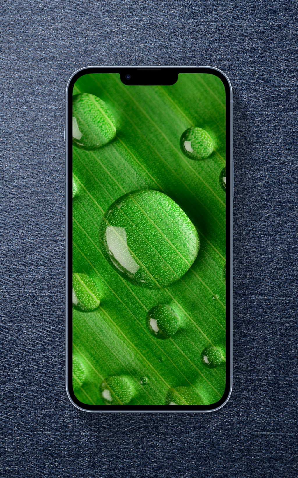 绿色水珠清新护眼手机壁纸
