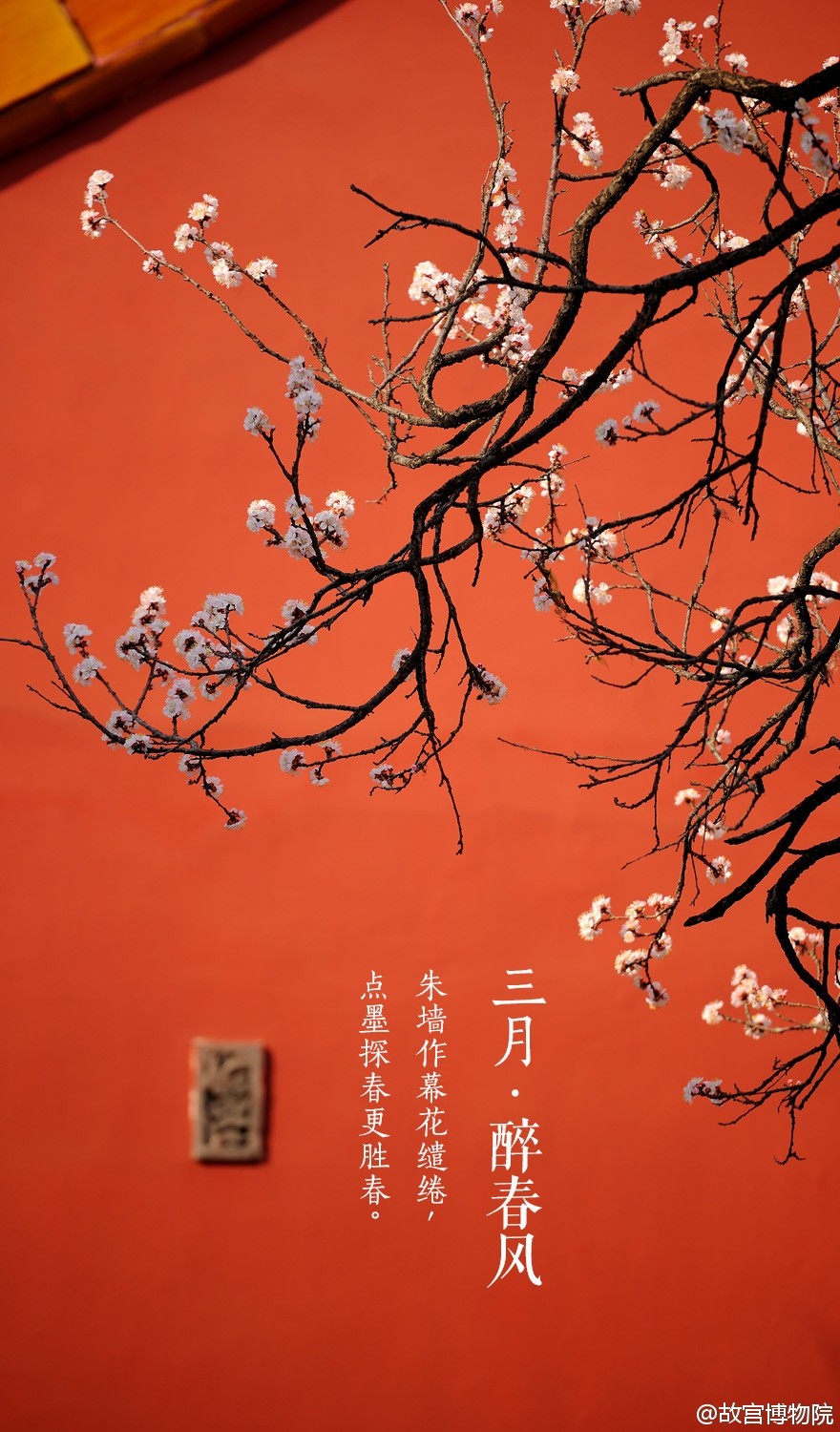 故宫博物院•三月•醉春风