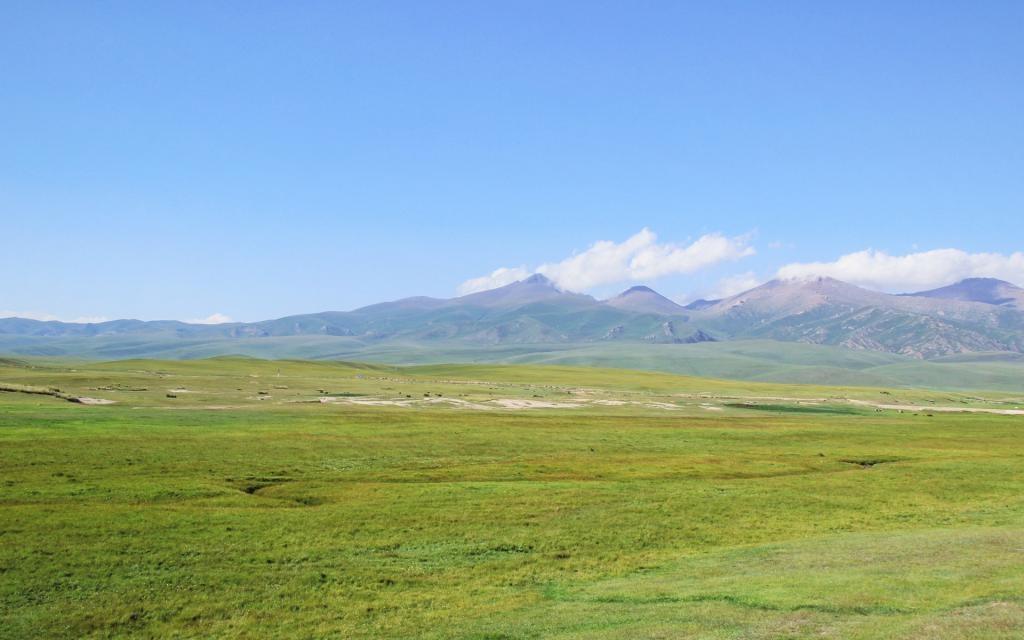 新疆绿色大草原高清护眼桌面壁纸