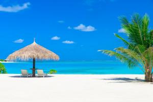 蔚蓝马尔代夫的海滩风景壁纸