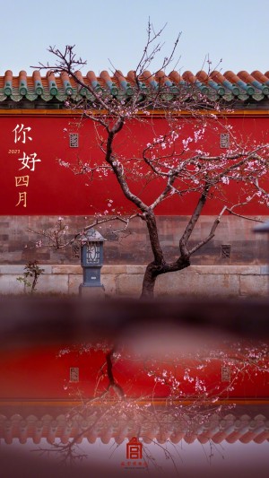 四月你好故宫博物院春日繁花手机壁纸