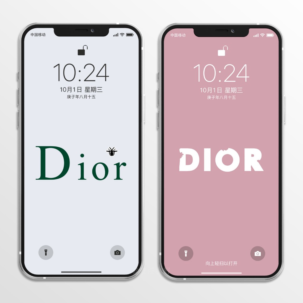 Dior迪奥写意风品牌文字手机壁纸