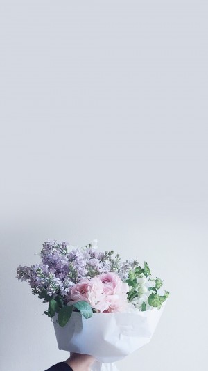 简洁盆栽花卉手机壁纸