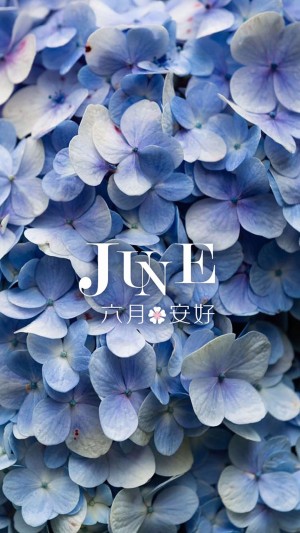 六月安好紫色花瓣图片