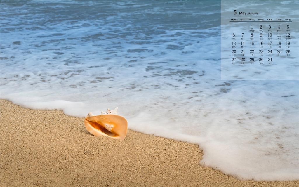2019年5月沙滩上的海螺唯美高清日历壁纸