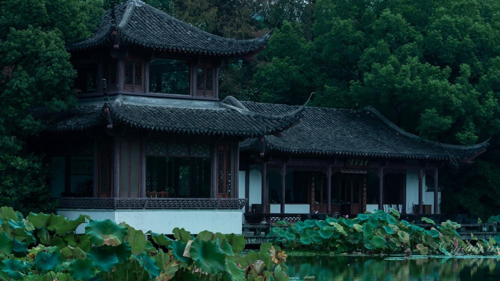 杭州西湖曲院风荷雨中秀丽美景
