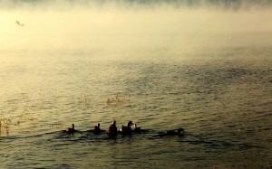 云南丽江泸沽湖迷人风景桌面壁纸