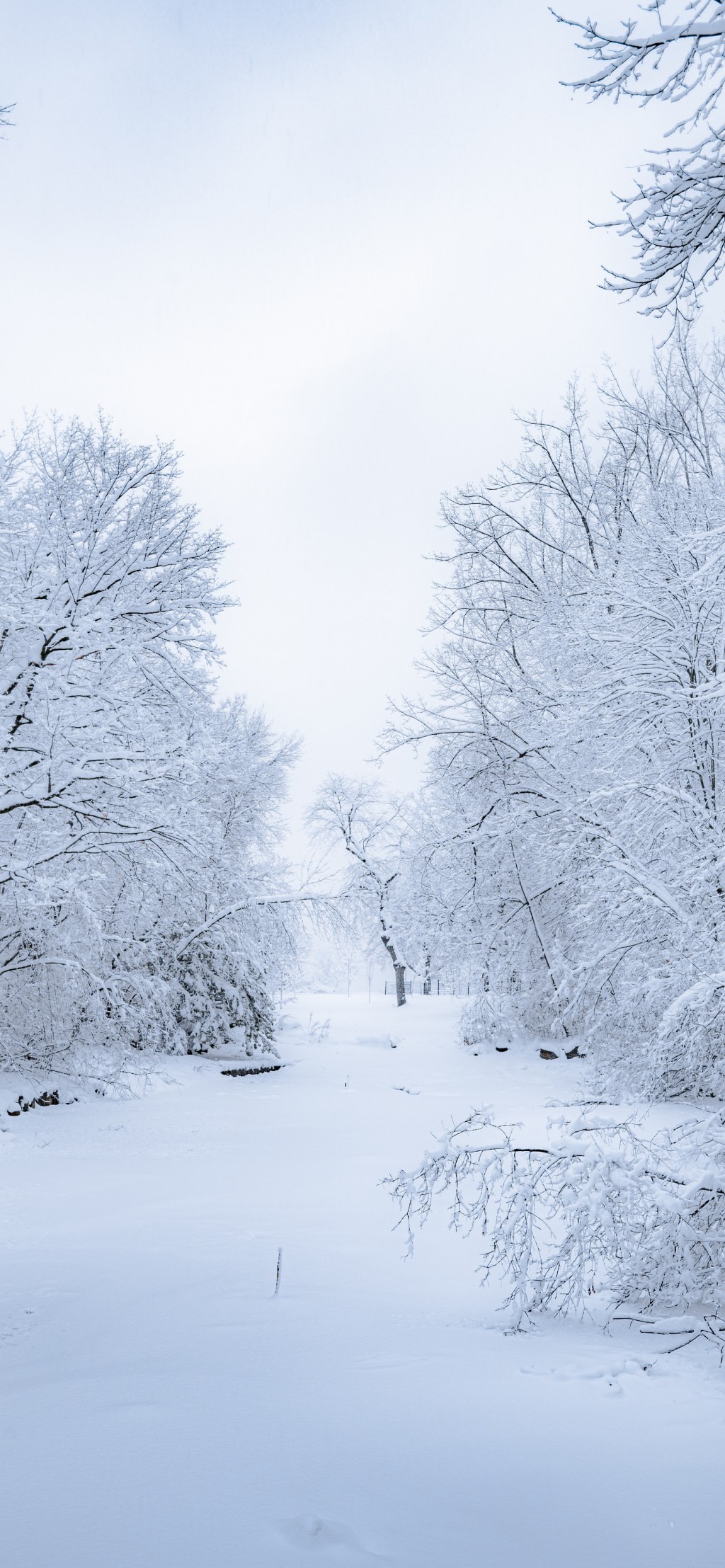 冬日唯美雪景手机壁纸