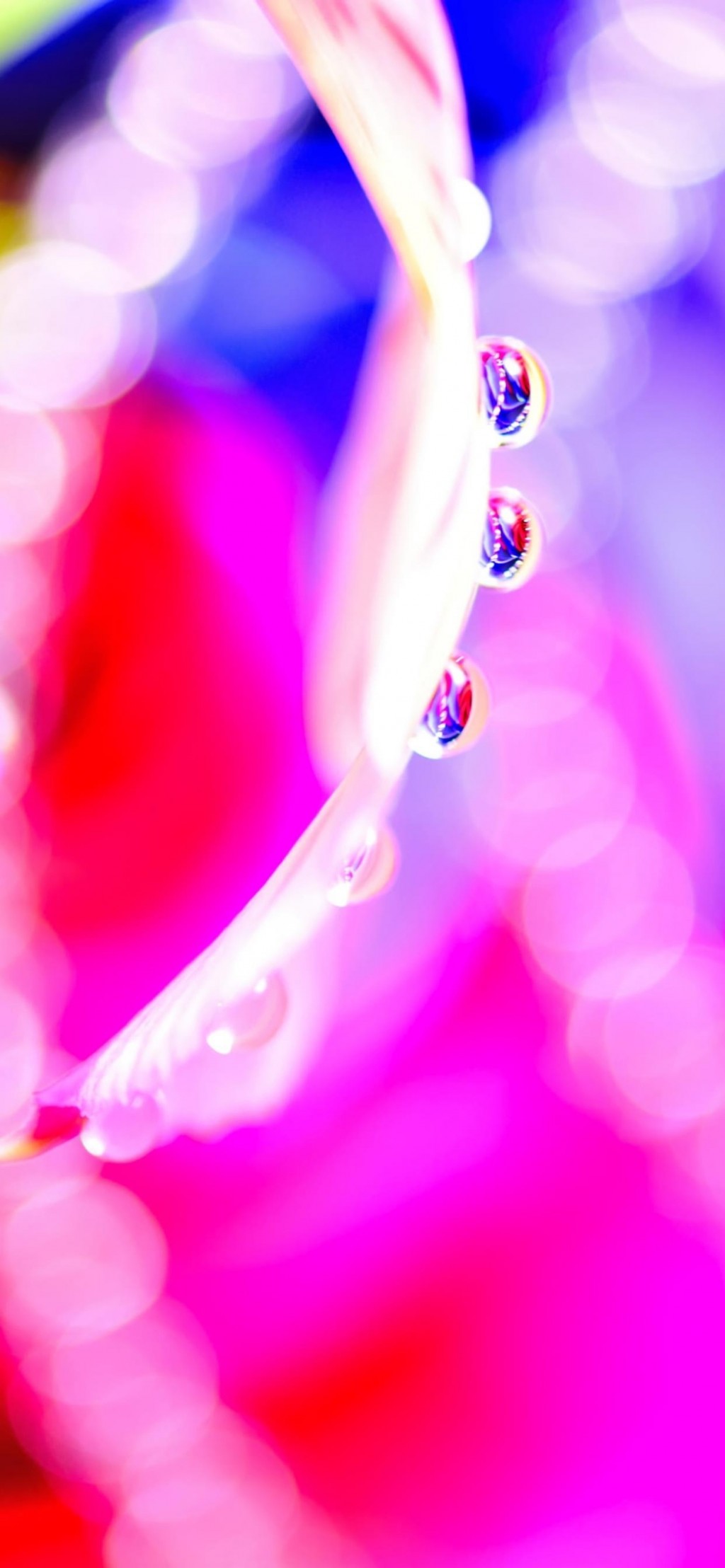 彩色水珠创意摄影艺术手机壁纸