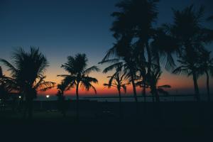 日落时迪拜海边风景壁纸图片
