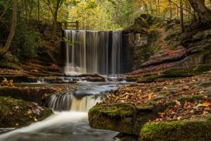 英格兰,威尔士,秋天,森林,叶子,瀑布风景5K壁纸