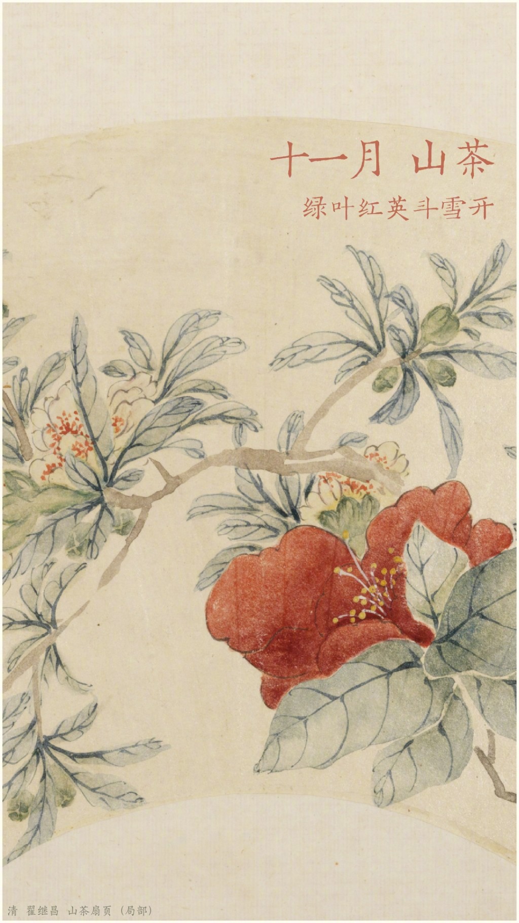 中国农历独特的月令花文化