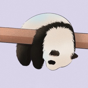 可爱熊猫插画图片