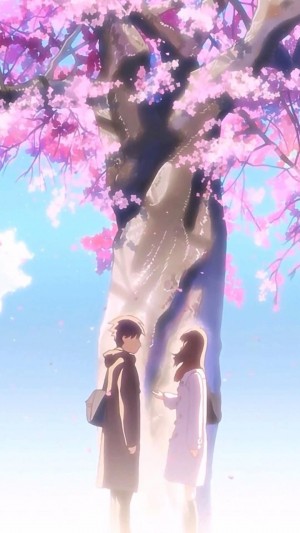 樱花树下的浪漫情侣