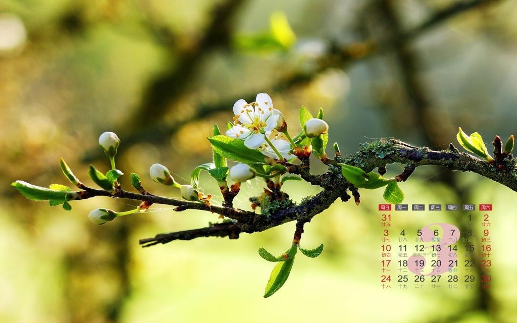 2019年3月美丽的大自然风景日历