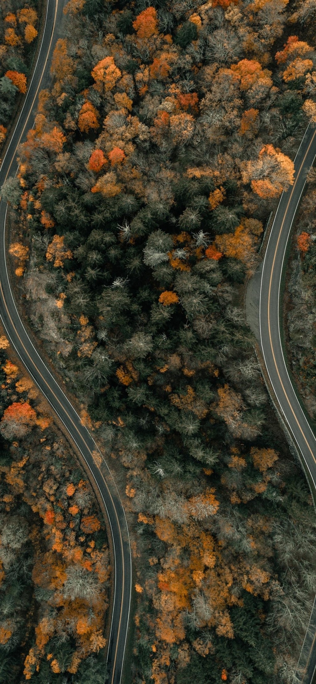 秋日之路俯拍美景手机壁纸