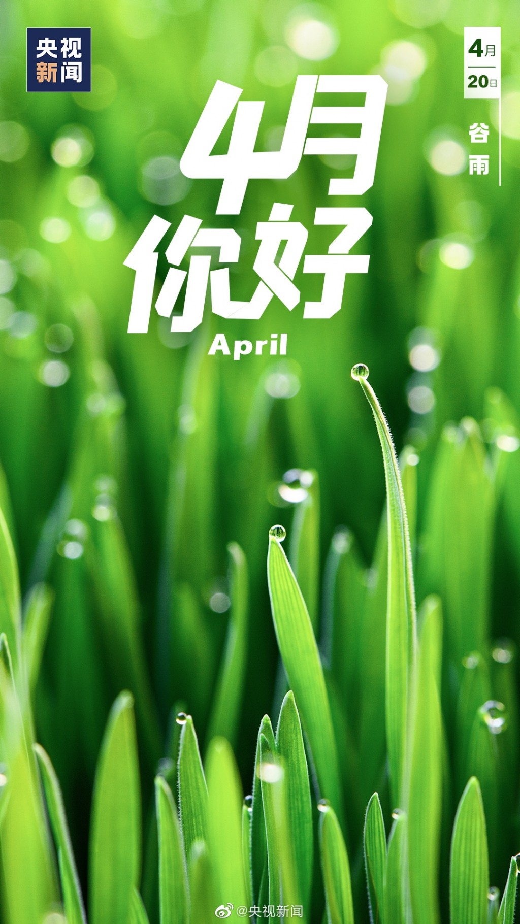4月你好祝福文字节日手机壁纸