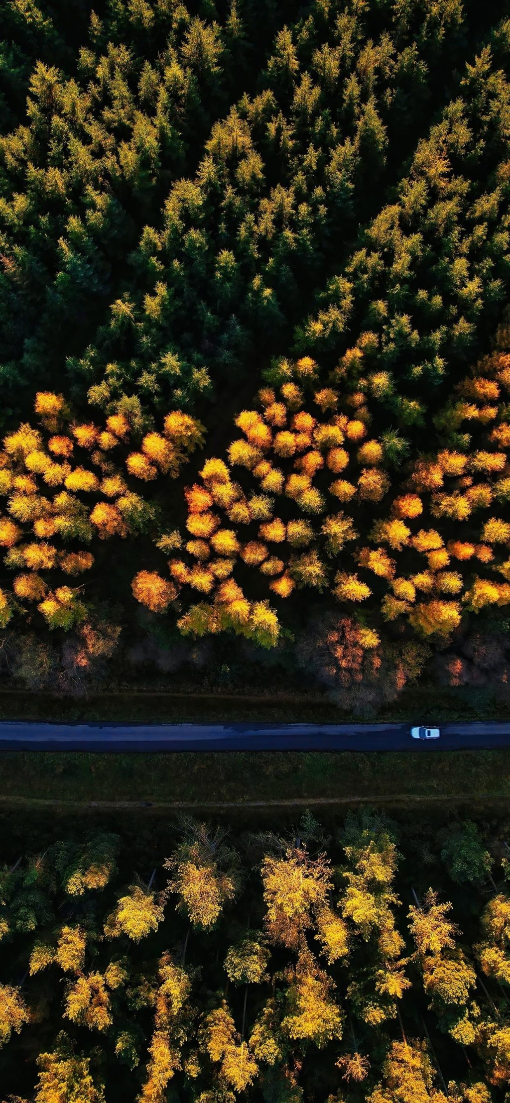 秋日之路俯拍美景手机壁纸