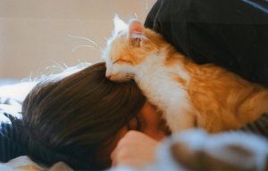可爱猫咪LOMO图片大全