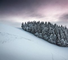 美丽的冬天雪景风景图片